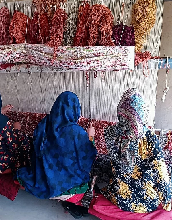 Rug Cleaning and resroration