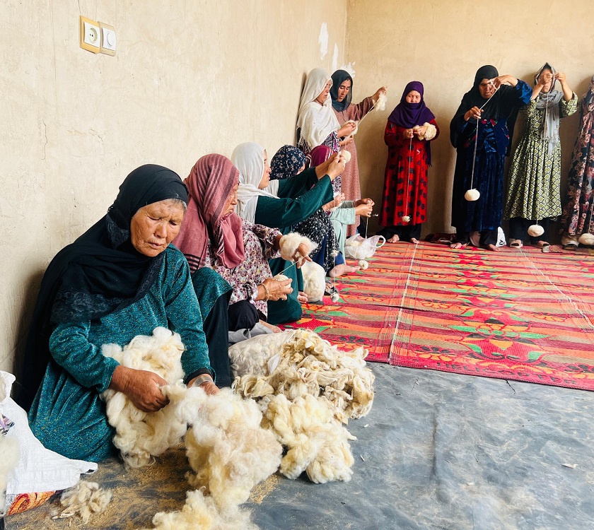 Ganjia e Afghan company